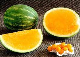 بالصور فاكهه البطيخ الاصفر yellow watermelon عالم الصور square watermelon watermelon watermelon seeds