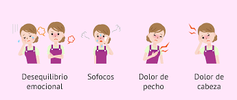 Que Es La Perimenopausia Sintomas Y Posibilidad De Embarazo