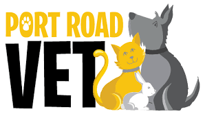 Aside from shopping supplies and food, you can book grooming, veterinary checkups pet stores with complete care at heart. Adelaide Vet Clinic Cat Dog Small Pets Veterinary Specialists In Adelaide