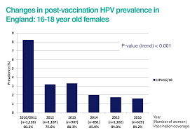 hpv vaccine human papillomavirus vaccine vaccine knowledge