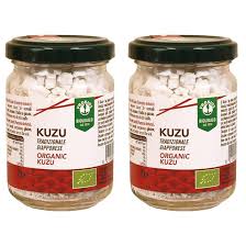 Probios Kuzu Tradizionale Giapponese - Confezione Da 140 g : Amazon.it:  Alimentari e cura della casa