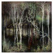 Bildergebnis für Anthony Goicolea