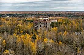 Cleanup was expensive both in human toll and cost. Where The Wild Things Are Nature Responds To The Pandemic Actively Learn