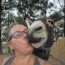 Oklahoma snake identification help needed