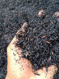 Salah satu hewan yang sering mengganggu di kebun saya adalah kucing. Jual Arang Sekam Bakar Kulit Padi Beli 4 Gratis 1 Di Lapak Gugusolshop Bukalapak