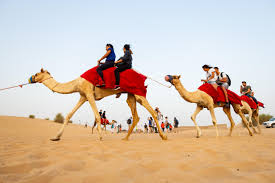 Kirkby is the author of: Desert Experiences From Abu Dhabi Recommendations For Tours Trips Tickets Viator