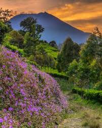 Gunung ciremai dikenal sebagai gunung dengan pemandangan eksotis oleh banyak pendaki di indonesia. 230 Ide Pegunungan Pegunungan Pemandangan Fotografi Alam