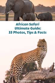 What are the most dangerous animals in africa? 16 Travel Destinations Bucket Lists Africa African Safari Africa Travel Africa Travel Guide