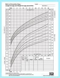 Baby Size Chart Shows The Growth And Development Of A Baby