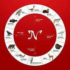 What S Your Sign Could Be A Real Animal According To Native Americans Native American Zodiac Signs Native American Zodiac Native American Animals