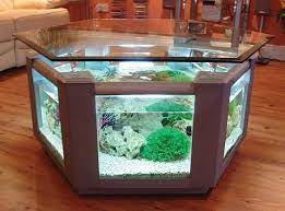 Using an acrylic fish tank for the project with mdf as the base would make it lighter and easier for you to move it from one place to the other, also minimizing the risk of breakage. Coffee Table Fish Tank 280l Hexagonal Design In Silver This Stylish Coffee Table Fish Tan Fish Tank Coffee Table Aquarium Coffee Table Elegant Coffee Table