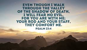 I shall not a want. Psalm 23 Niv Bible The Lord Is My Shepherd I Lack Nothing He Makes