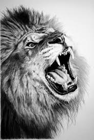 Maybe you would like to learn more about one of these? Pencil Lion By Francoclun On Deviantart Animal Sketches Pencil Drawings Of Animals Realistic Drawings