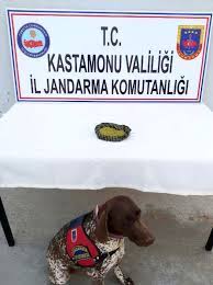 kastamonu da toz esrar ele gecirildi teknik elsa yaya