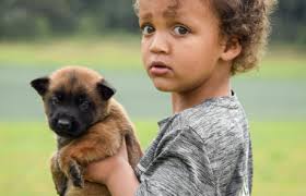 German Shepherd Training and What is NePoPo®