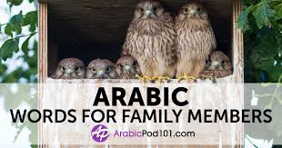 Learn Arabic Blog By Arabicpod101 Com