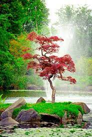 Vancouver B C Van Dusen Gardens Japanese Garden Landscape Japanese Garden Asian Garden