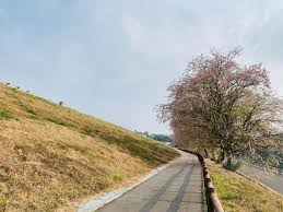 Include (or exclude) self posts. å°å—çƒå±±é ­æ°´åº« å—æ´‹æ«» é–‹7æˆ 228é€£å‡è²·é–€ç¥¨é€èˆ¹ç¥¨ Ettodayæ—…éŠé›² Ettodayæ–°èžé›²