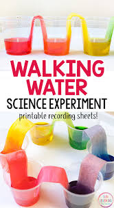 Rainbow Walking Water Science Experiment For Kids