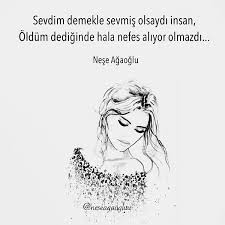 Sevdim Demekle Sevmis Olsaydi Insan Oldum Dediginde Hala Nefes Aliyor Olmazdi Nese Agaoglu Kaynak Instagram Neseagaogluu Words Memes Quotes