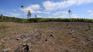 This was filmed by my father, charles e. Czech Republic Facing Catastrophic Drought The Country S Worst In 500 Years