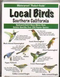 Have a look at this site move down to the birds/bird families hit birds and all kinds of birds pop up that are in cal. Local Birds Southern California Spence Mike 9781886403628 Amazon Com Books