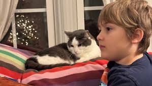 Fundraiser by Anna McNamee : Support Anna and Emmett Through Tough Times