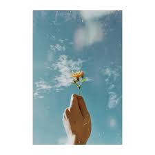 Download now blueforsudan menggema ini alasan pengguna media sosial ubah. Pin On Drawing