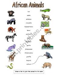 That is what the introduction of cheetah should be as they are among the fastest hunters of. African Animals Esl Worksheet By Apodo