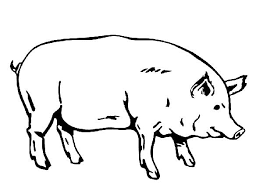 67 Desenhos De Porco Para Imprimir E Colorir Pintar