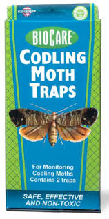 This year, i'm doing the same thing. Biocare Codling Moth Traps Ecology Center