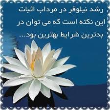 پند حکیمانه + سخنان ارزشمند و جملات قصار از بزرگان جهان