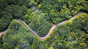 The english idiom bird's eye view is used to refer to a comprehensive view of something, or in more abstract terms, a full knowledge and comprehension of something. Your Best Bird S Eye View Photos From 2017 Abc News Australian Broadcasting Corporation