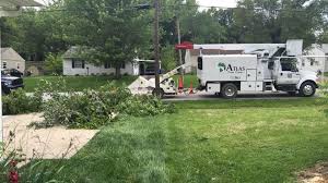 Atlas tree service's top 7 competitors are evergreentreeinc, nyestreeservice, thetreeguy, millers tree service, pebblebrook tree service, moore green and precise yard maintenance. Atlas Tree Care Home Facebook
