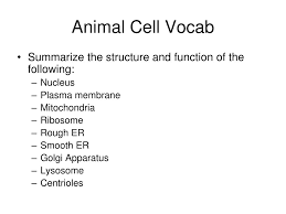 Maybe you would like to learn more about one of these? Ppt Bell Ringer Powerpoint Presentation Free Download Id 5890155