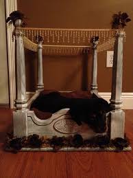 Pin By Danielle Turpin On Things I Have Done Beautiful Dog Beds Diy Dog Bed Dog Furniture