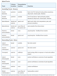 Spinal Cord Anatomy And Physiology I