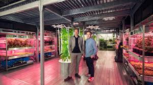 Purveyors of nearly everything, scandinavian furniture giant ikea plans on selling indoor hydroponic gardening systems in the spring 2017 in the u.s. Tom Dixon And Ikea Explore Urban Gardening At The Chelsea Flower Show