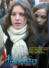 Revista Zonalibre: 08/01/2011