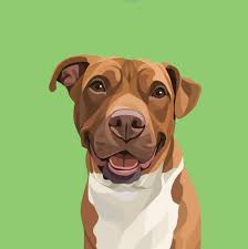 From a snapshot to digital art. We did a quick comparison for you to see!  💛✨, 🛍️ready to order? Click the link in our bio! , ❓have a question? DM  us! , #pikopaw #pikopaws #pitbullsofinstagram #dog