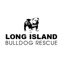 A bulldog found wandering by the long island rail road tracks was rescued by a train crew that stopped and was able to persuade him to board, an lirr spokeswoman said on saturday. Julia Balfour Logolounge