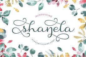 This font family pairs well with script and handwritten fonts, or looks great paired within it's own family! Shanela Free Font Download