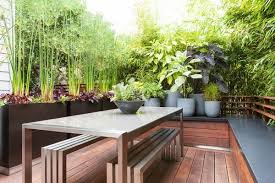 Here's a look at some of the best plants to use for best trees for privacy. Best Screening Plants 20 Plants To Protect Your Privacy Outdoors