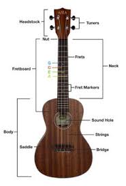 It's where we rest, read, make love, cry — it's even where some of us eat. 8 Ukulele Ideas Ukulele Ukulele Chords Ukelele