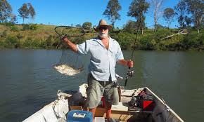 Coast Country Getaway At The Mary River Farmstay Camping Rv S