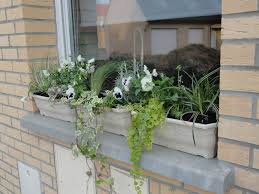 Pour vos plantes d'extérieur, il est recommandé de placer des billes d'argile dans les pots pour assurer leur drainage. Jardiniere D Hiver Exterieur Photo De Fleur Une Pensee Fleuriste Jardinieres D Hiver Photo Fleurs Jardin Balcon