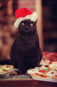 50 Things You Ll Remember About Christmas If You Were A Kid In The 90s Salem Cat Cat Santa Hat Sabrina Cat