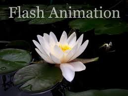 water animation flash এর চিত্র ফলাফল