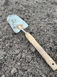 How to Plant Dahlia Tubers