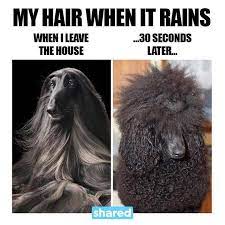 Heather Bell Hahaha Who S With Me Here Beauty Memes Hair Humor Hair Meme